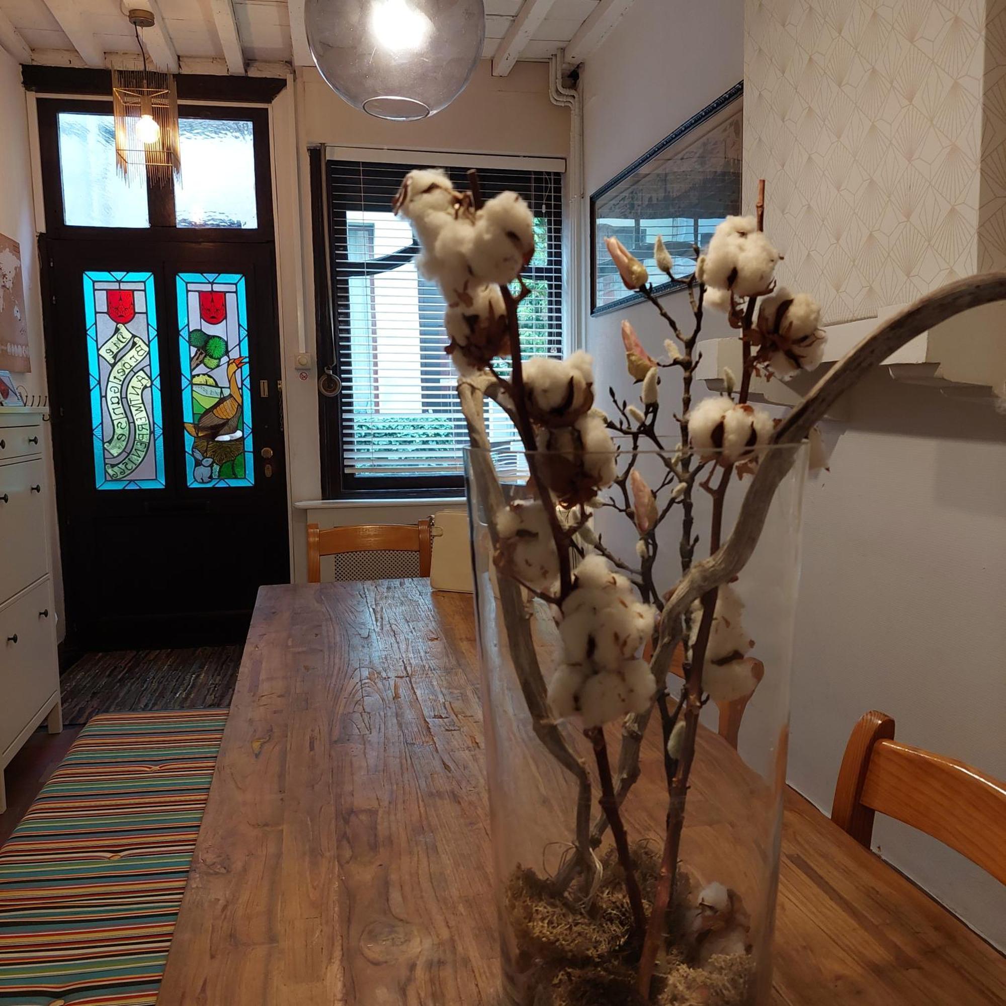 Zuiderzin Villa Antwerp Luaran gambar